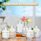 12Pcs Bud Vases,Clear Glass Bud Vase,Living Bud Vases Bulk,Mini Flower Vases,Small Vases for Flowers Centerpieces Home Living Room Office Table Decor (2 x 2.8 in)