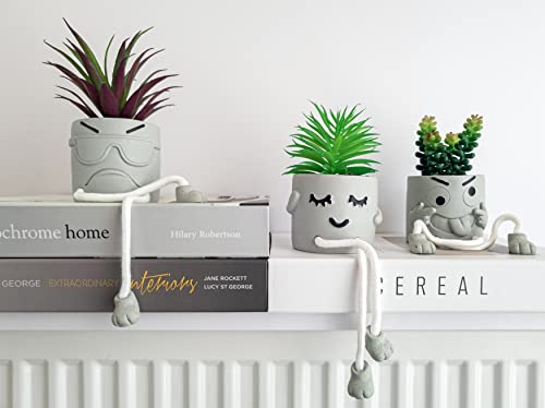OLEEK Small Fake Plant Office Desk Decor - Desk Plants for Office Decorations for Work - Decorative Plants Decor - Funny Office Decor for Women - Fake Succulents Plants Artificial Home Decor Shelf - size: collection C (set of 3)