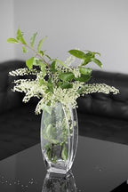 Glass - Vase - Clear - 12.6" Height - Heavy Durable - Made in Europe - by Barski
