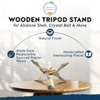Alternative Imagination Wooden Tripod Display Stand - 6-Inch Hand Carved Holder Made from Mango Wood -Folding Natural Stand for Abalone Shell, Crystal Ball, Key Bowl,Trinket Dish, Incense,Decor & More - size: 6 Inches