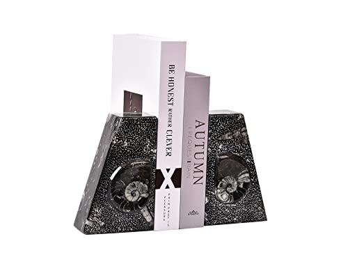 AMOYSTONE 1Pair Decorative Book Ends Natural Orthoceras Fossil Bookends Small 4-5 LBS Trapezoid Morocco Fossil Books Holder Height 4.7" - color: Black & White a, size: 4-5 Lbs