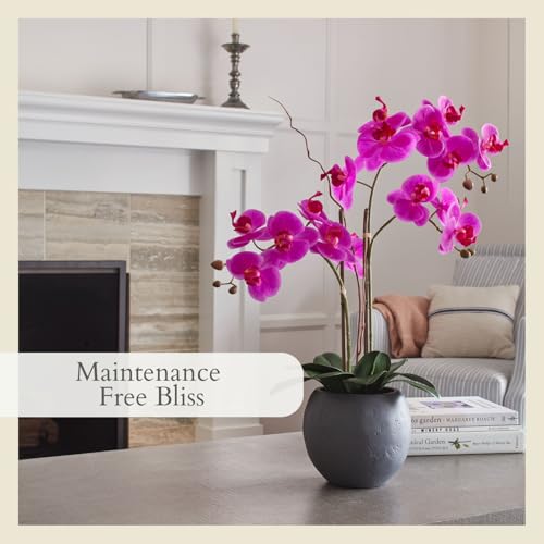 CG Hunter Faux Pink Orchid Plant, Premium Artificial Indoor Flower Display Stands 25-Inches with Beautiful Sculptural Blooms and Foliage that Lasts Forever, Grey Planter Pot Included - size: 25" Pink Double Stem