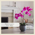 CG Hunter Faux Pink Orchid Plant, Premium Artificial Indoor Flower Display Stands 25-Inches with Beautiful Sculptural Blooms and Foliage that Lasts Forever, Grey Planter Pot Included - size: 25" Pink Double Stem