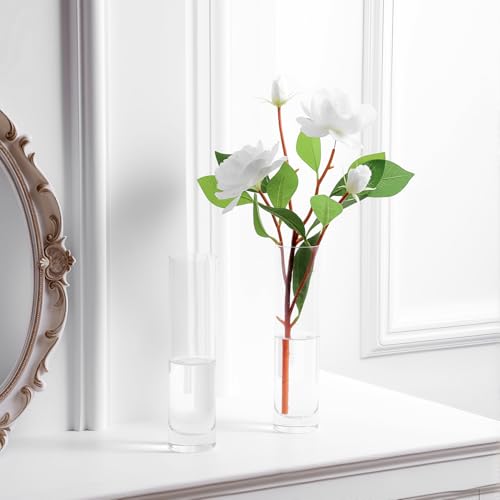Clear Glass Cylinder Bud Vases,Small Clear Skinny Single Flower Vase for Centerpieces - Minimalist Bulk Vases for Wedding Birthday Bridal Shower Party Events Table Decor (6)