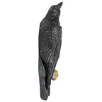Design Toscano The Raven's Perch Gothic Decor Wall Sculpture, Single