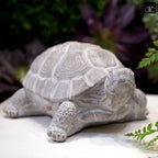 Modern Small Standing Turtle Figurine, Unique Cement Figurines, Handcrafted Decorative Washed Concrete Finish White Sculpture for Home, Garden,Office: 12.50"x9.00"x5.75"H - size: 12.50"x9.00"x5.75"H