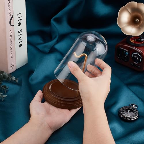 PH PandaHall Pocket Watch Glass Display Dome with Hook 5.7"x4" Watch Display Jar Decorative Watch Case with Base Plants Dome Showcase for Father's Day Pocket Watches Medals Collectibles Ornament - size: 5.7x4 Inch