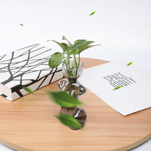 Propagation Vases for Plants Plant Propagation Jars Unique Body Avocado Vase Glass Planter Perfect for Seed Starting Water Rooting and Home Decor Gift for Father - color: Gray