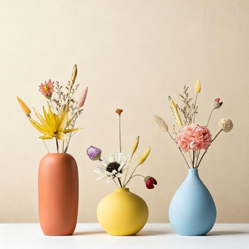 Small Multi Color Ceramic Vase Set 3 Modern and Minimalist Decorative for Home Decor, Office, Modern, Classical, Creative Shelf, Table, Bookshelf, Entryway, Coffee Table Decor - size: Small Set of 3 (With Dry Flower)
