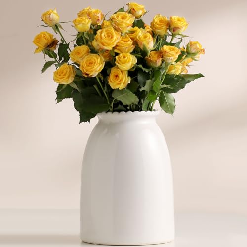 hjn White Flower Vase- Ceramic Vase for Flowers, Modern Vases for Living Room/Home Decor Accents/Entryway/Mantel/Bookshel-White - color: White-8.5inch