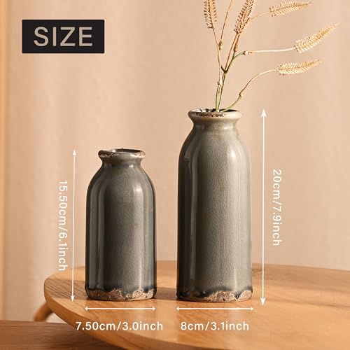 VICTOR & TERESA Blue and Grey Ceramic Vase Home Decor, Farmhouse Vases for Flowers, Flower Vase Set of 2, Rustic Decorative Vases for Pampas Grass, Table, Living Room, Shelf, Centerpieces, 8 inch - color: Blue and Grey