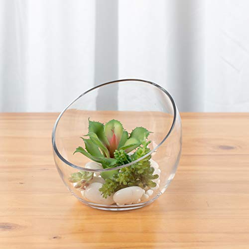 WGVI Clear Slant Cut Bowl Glass Vase, Glass Terrarium, Candy Dish, Glassware, Slant Open: 7". Height: 6" x 2.7". Base: 4" (1 Piece) - size: Slant Bowl 6"H