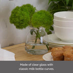 Elements Glass Milk Bottle Vase, for Use with Dried or Faux Flowers and Greenery, 4.2x4.2x4.72 Inch, Clear - size: 4.7 Inch
