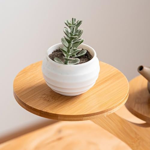 Multi-Tier Modern Storage Holder | Tiered Plant Stand | Aesthetic Plant Holders Indoor Stand - For Flower Pot Vase Planter Teapot Bedroom Study Balcony Apartment Office Table Desk - color: B