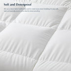Pacific Coast Goose Feather Down Fiber Comforters Full Size, Extra Fluffy White Duvet Insert, Ultra-Soft, Breathable, All Season Hotel Luxury Bedding Comforters, 8 Corner & Center Loops (82"x86") - size: Full