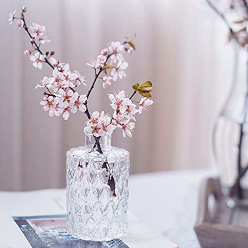 Mini Clear Glass Vase,Small Flower Bud Vase Hydroponics Planter Decorative for Flower,Table,Party,Home,Centerpieces(Clear 6) - color: Clear 6