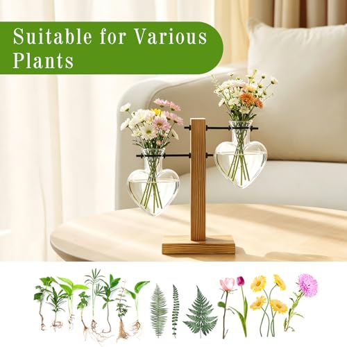 XXXFLOWER Plant Terrarium Wooden Stand, Hydroponic Planter Bulb Glass Metal Swivel Holder Retro Air Plants Water Plants for Home Office Decoration,Gifts for Plant Lover Wife Mom- 2 Love Bulb Vase - size: 2 Love Wooden Stand