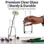 6 Inch Small Clear Glass Flower Vase, 6 Pack Ins Modern Boho Style Bud Vase for Table Centerpiece, Home Desk Decor, Wedding & Housewarming Gift