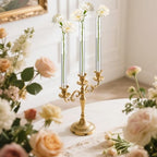 6 Pack 7.9” Acrylic Bud Vase — Cylinder Bud Vase for Taper Candlesticks, Flower Vase with Silicon Rubber Case Fits Candlestick Size 20-22mm, Perfect for Tablescapes, Weddings & Home Decor - size: 6 PC Solid