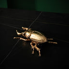Gold Insect Wall Decor - Unique Bug and Beetle Design Gold Resin, Perfect for Victorian and Modern Home Decor