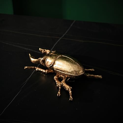 Gold Insect Wall Decor - Unique Bug and Beetle Design Gold Resin, Perfect for Victorian and Modern Home Decor