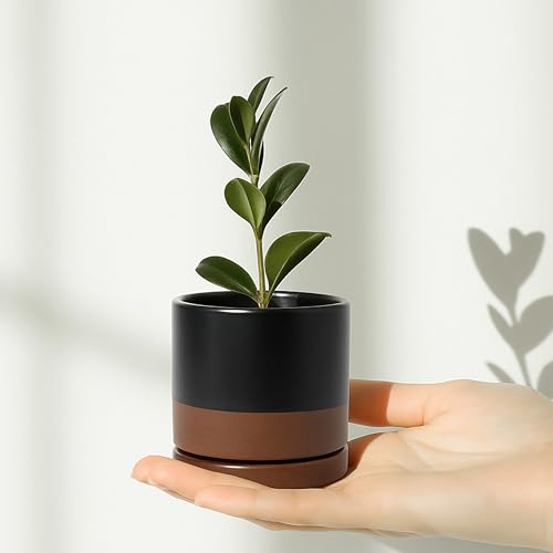 D'vine Dev Set of 2 Plants Pots, 3.5 Inch Ceramic Planter Pot for Plants with Drainage Hole and Saucer, Black/Speckled Tan, 94-V-A-7 - color: Black/Speckled Tan, size: 3.5 Inch