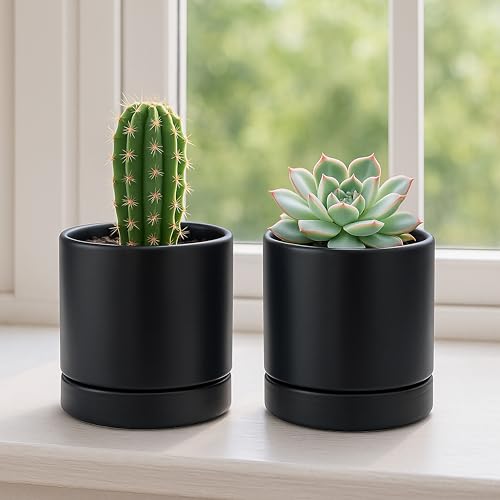 D'vine Dev Set of 4 Small Ceramic Plant Pots, 4.7 Inch Succulent Planter Pot for Plants with Drainage Hole and Saucer, Black, 94-X-B-2 - color: Black, size: 4.7 Inch