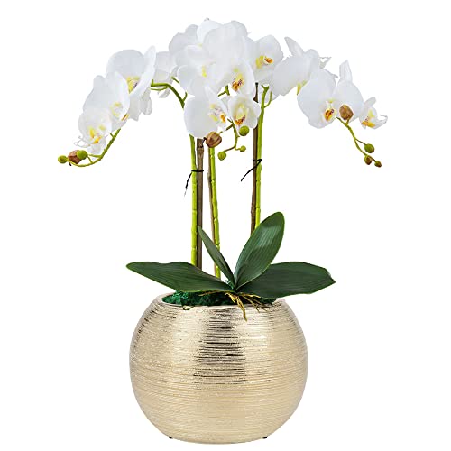 Gold Ceramic Flower Vase Home Decor Vase Centerpieces Vases Metallic Round Bowl Vases for Living Room,Bedroom,Kitchen,Countertop (Gold), Dia 7'' (21005-GD) - color: Gold