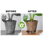 6 Pack Heavy Duty Clear Plastic Plant Saucer Sturdy Pot Tray Plant Drip Trays Drip Trays for pots,Plant Water Catcher Tray,Plant Pot Saucers (8 INCH) - size: 8 INCH