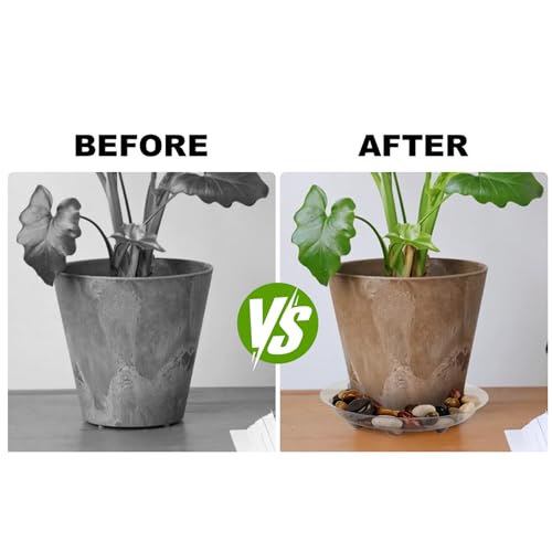 6 Pack Heavy Duty Clear Plastic Plant Saucer Sturdy Pot Tray Plant Drip Trays Drip Trays for pots,Plant Water Catcher Tray,Plant Pot Saucers (8 INCH) - size: 8 INCH