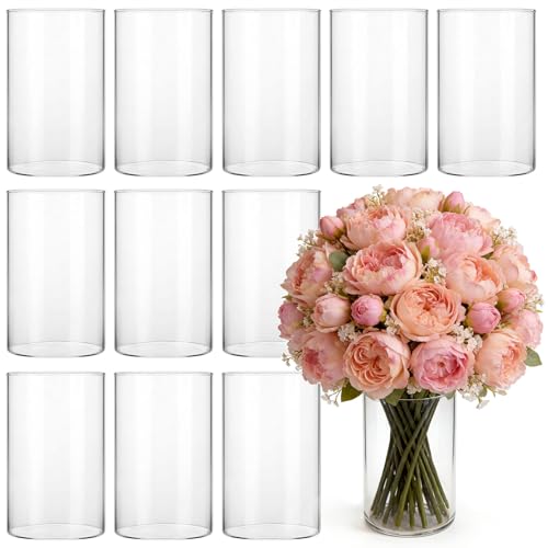12 Pack Glass Cylinder Vases for Centerpieces, 6 Inches Tall Clear Flower Bud Vases for Wedding Decorations, Hurricane Floating Candle Holder for Home, Party and Table Shelf