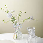 Irregular Shaped Vase for Flower, Unique Matte Glass Vase with Rope Crinkle Paper Design Hydroponic Art Flower Vase for Wedding, Dinning, Bookshelf, Home Decoration or Gift(Transparent)