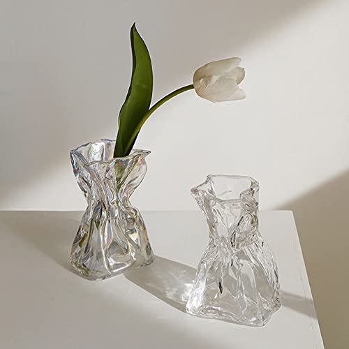 Irregular Shaped Vase for Flower, Unique Matte Glass Vase with Rope Crinkle Paper Design Hydroponic Art Flower Vase for Wedding, Dinning, Bookshelf, Home Decoration or Gift(Transparent)