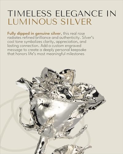 Forever Rose The Silver Dipped Rose, Custom Laser Engraved Silver Flower in an Elegant Glass Vase & Gift Ready Box, Handcrafted Luxury Anniversary, Birthday, Wedding or Valentine’s Keepsake - color: Silver