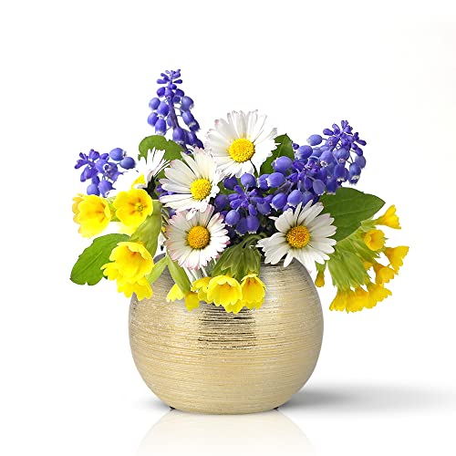 Gold Ceramic Flower Vase Home Decor Vase Centerpieces Vases Metallic Round Bowl Vases for Living Room,Bedroom,Kitchen,Countertop (Gold), Dia 7'' (21005-GD) - color: Gold