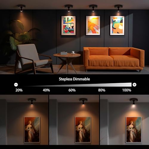 LED Spotlight Indoor,Rechargeable Battery Uplighting Indoor, Mini Accent Spot Lights for Plants Tree Wall Art Display Painting Artwork Portrait Dartboard Closet Gallery Photo-Black 2Pack - color: Black