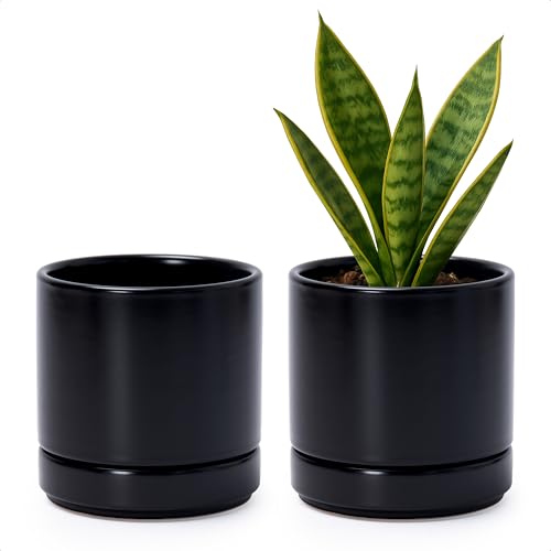 D'vine Dev Set of 2 Plants Pot, 4.7 Inch Ceramic Planter Pot for Plants with Drainage Hole and Saucer, Black, 94-V-B-2 - color: Black, size: 4.7 Inch