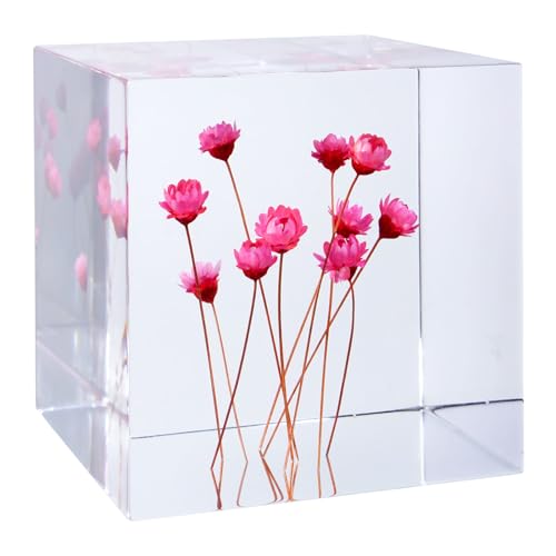 Acrylic Cube with Real Tiny Roses (Starflowers) Inside 6cm Cube Colorful Aesthetic Shelf Decor Desk Decor Paperweight for Girlfriend