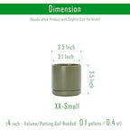 D'vine Dev Set of 4 Small Ceramic Plant Pots, 3.5 Inch Succulent Planter Pot for Plants with Drainage Hole and Saucer, Olive, 94-X-A-0 - color: Olive, size: 3.5 Inch