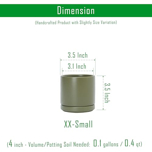 D'vine Dev Set of 4 Small Ceramic Plant Pots, 3.5 Inch Succulent Planter Pot for Plants with Drainage Hole and Saucer, Olive, 94-X-A-0 - color: Olive, size: 3.5 Inch
