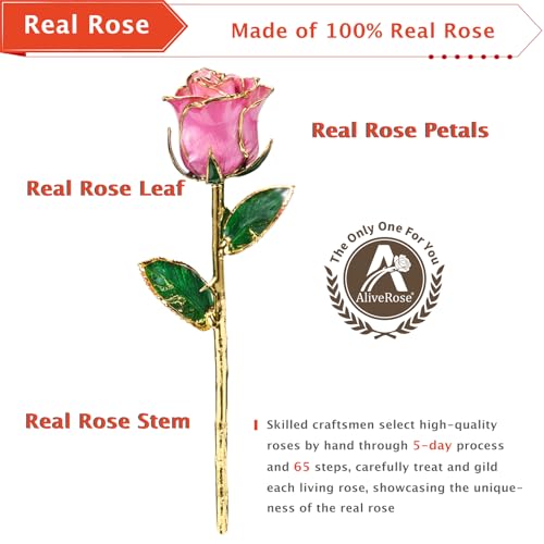 AliveRose Gold Plated Rose, 24K Gold Dipped Rose with Crystal Vase - Unique Design for Anniversary, Valentines, Mothers Day, Birthday Gifts - color: 5. Pink Original Rose With Crystal Vase