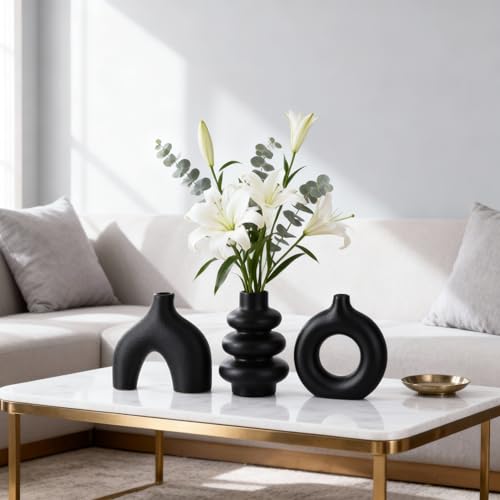 Ceramic 3 Pcs Vase Set,Modern Home Decor Table Centerpiece,Minimalist Nordic Vases, Wedding, Living Room, Bookshelf, Office, Modern Home, Entryway Boho Decor (Black) - color: Black