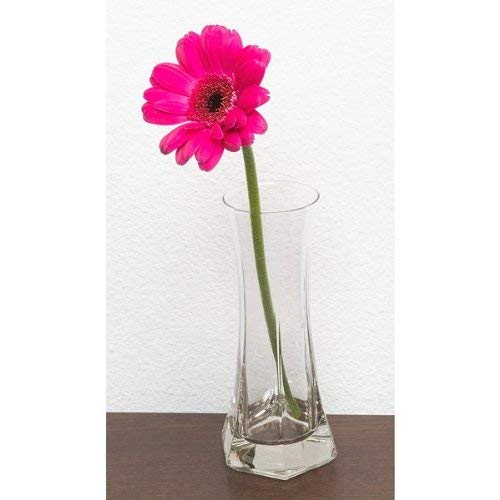 Bormioli Rocco Capitol Flower Bud Vase, Gift Boxed