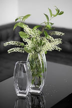 Glass - Vase - Clear - 12.6" Height - Heavy Durable - Made in Europe - by Barski