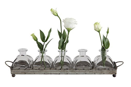 Creative Co-Op Decorative Iron Rectangle Tray with Handles & 5 Glass Vases