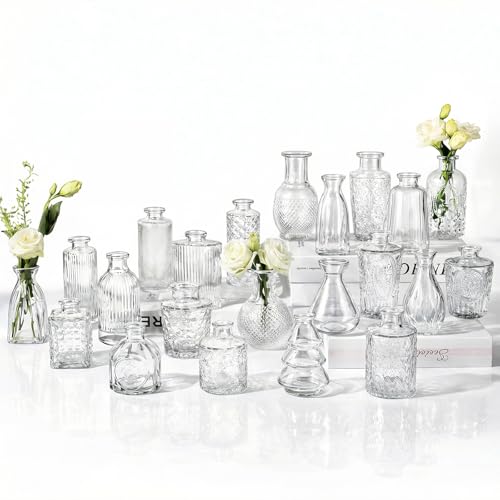 RUCKAE Small Clear Bud Vases Bulk 22 Pack Mini Flower Glass Vases for Centerpiece Table Wedding Decorations Home Decor Party - style: Transparent 22 Pack