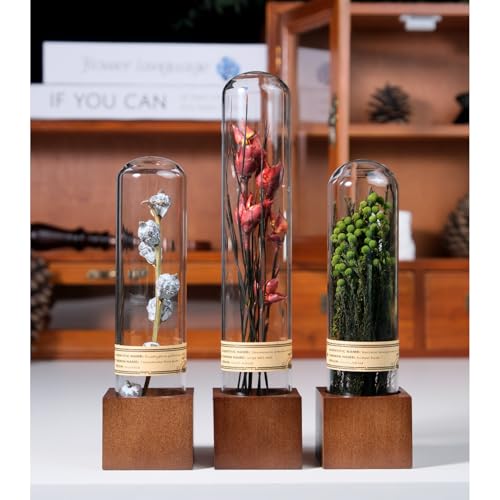 3Pcs Dried Flower Decor,Knick Knacks for Shelves,Cool Stuff for Bookshelf,Small Plants Decor for Office Shelves,Natural Green Plants Boho Shelf Decor,Apothecary Decor,Unique Gifts for Women,Friends - color: Vintage Red Trio,3-piece Set