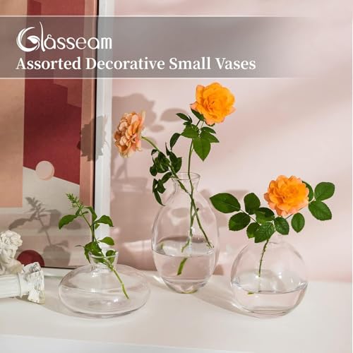 Glasseam Clear Glass Bud Vase, 3Pcs/Set Modern Decorative Small Mini Flowers Vases Short Minimalist Aesthetic Home Decor Vintage Cute Handmade Tiny Wedding Table Centerpieces for Single Flower Rose - color: Clear, size: 1 Set