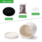 D'vine Dev Set of 2 Plants Pots, 6.5 Inch Ceramic Planter Pot for Plants with Drainage Hole and Saucer, Oatmeal, 94-V-C-8 - color: Oatmeal, size: 6 Inch