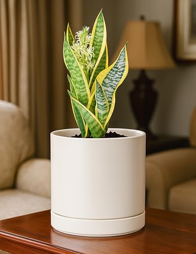 D'vine Dev Set of 2 Plants Pots, 6.5 Inch Ceramic Planter Pot for Plants with Drainage Hole and Saucer, Oatmeal, 94-V-C-8 - color: Oatmeal, size: 6 Inch